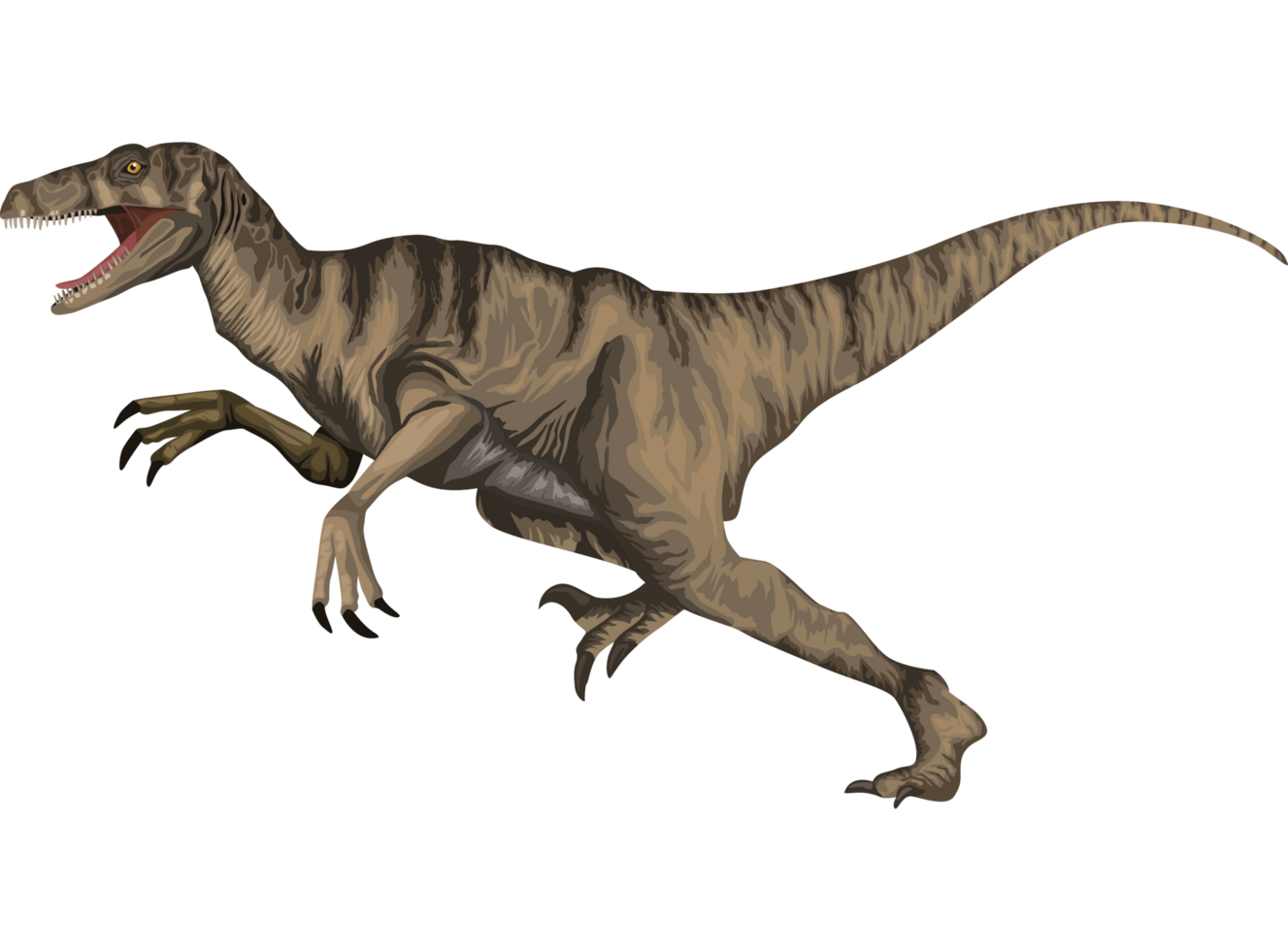 velociraptor dinosaurus prehistorisch dier png