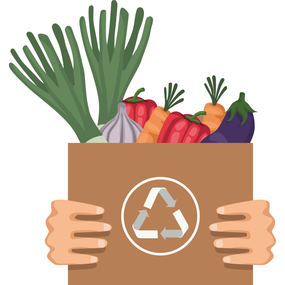 vegetables in recycle box png
