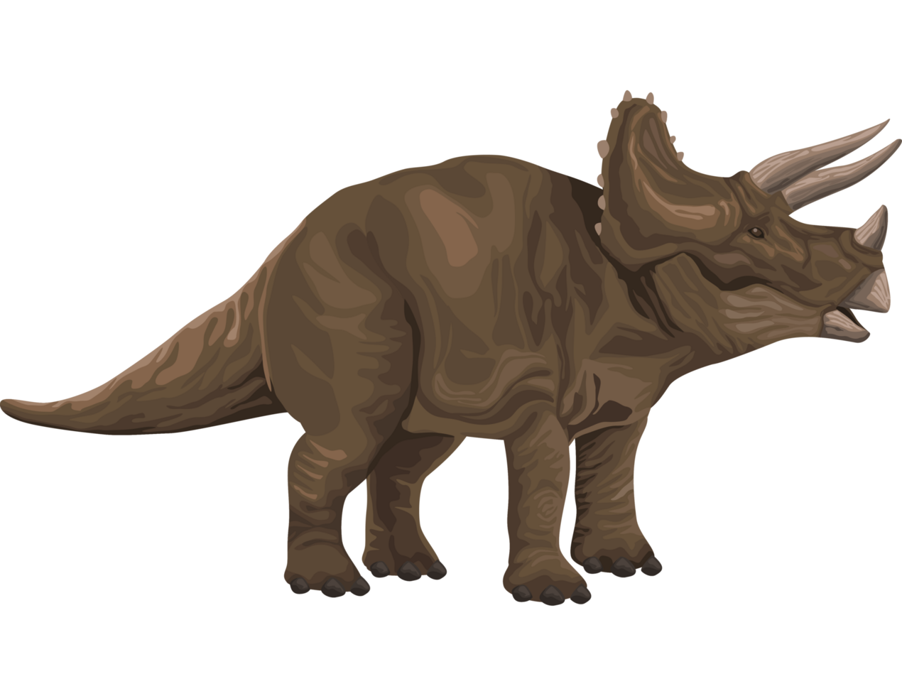 triceratops dinosaurus prehistorisch dier png