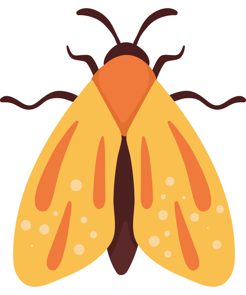 yellow moth insect animal png