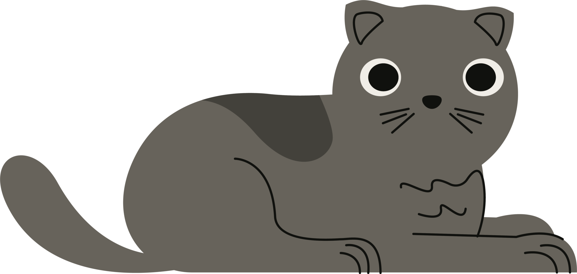 cute little gray cat png