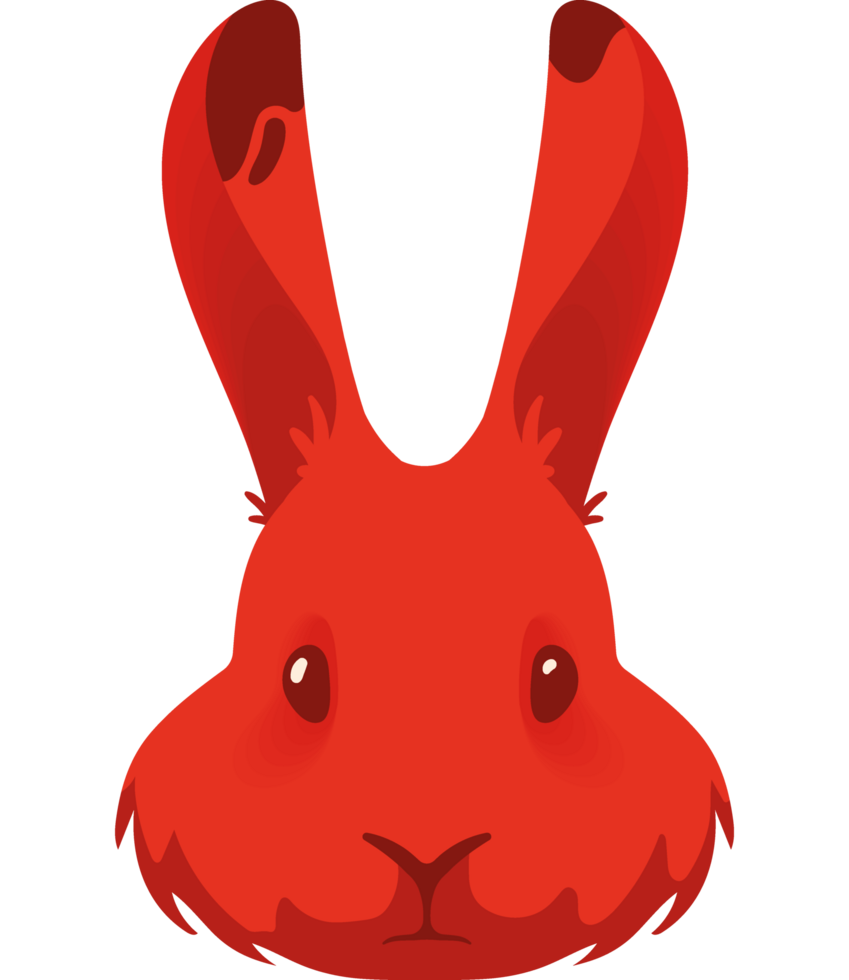 rabbit-chinese-zodiacal-animal-24085871-png