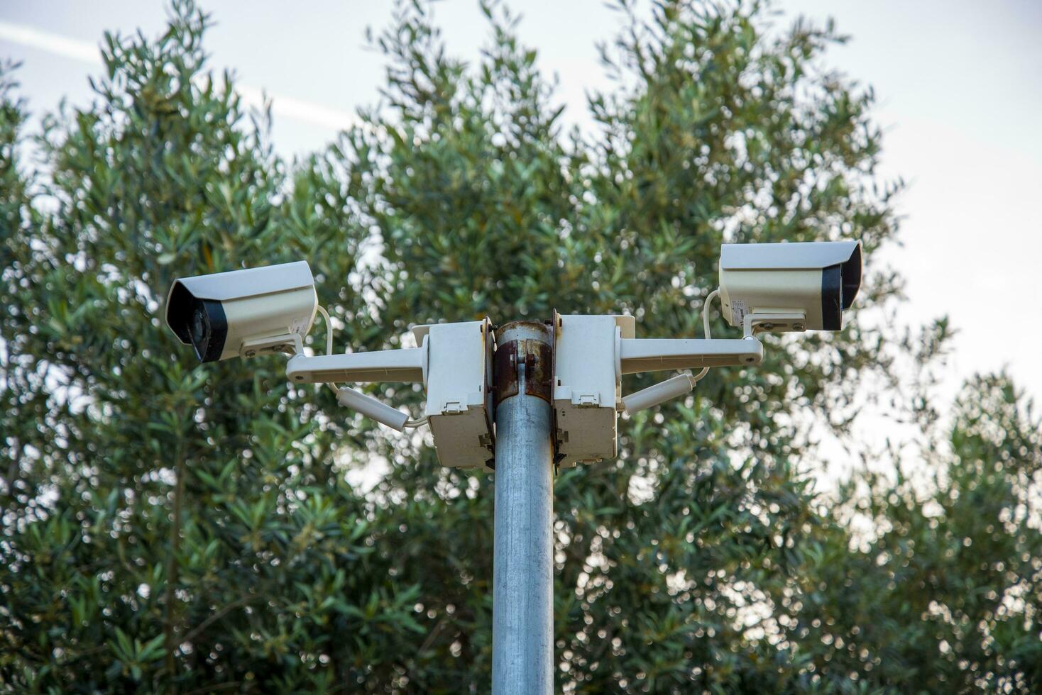 CC.TV. cameras on metal poles in public parks to monitor, observe and record evidence of incidents for investigation. photo