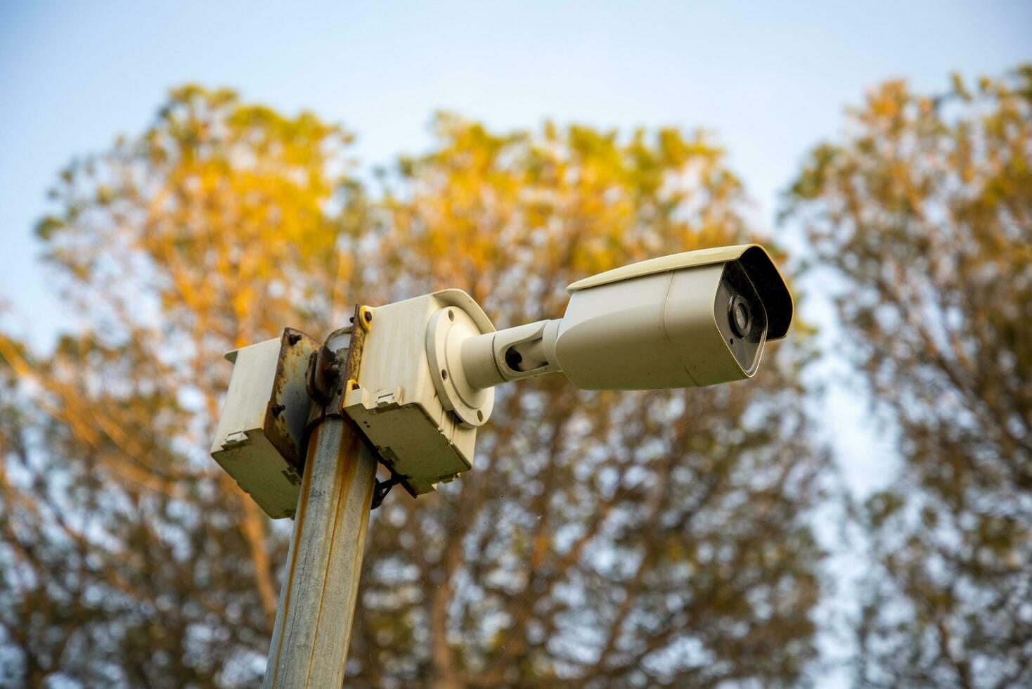 CC.TV. cameras on metal poles in public parks to monitor, observe and record evidence of incidents for investigation. photo