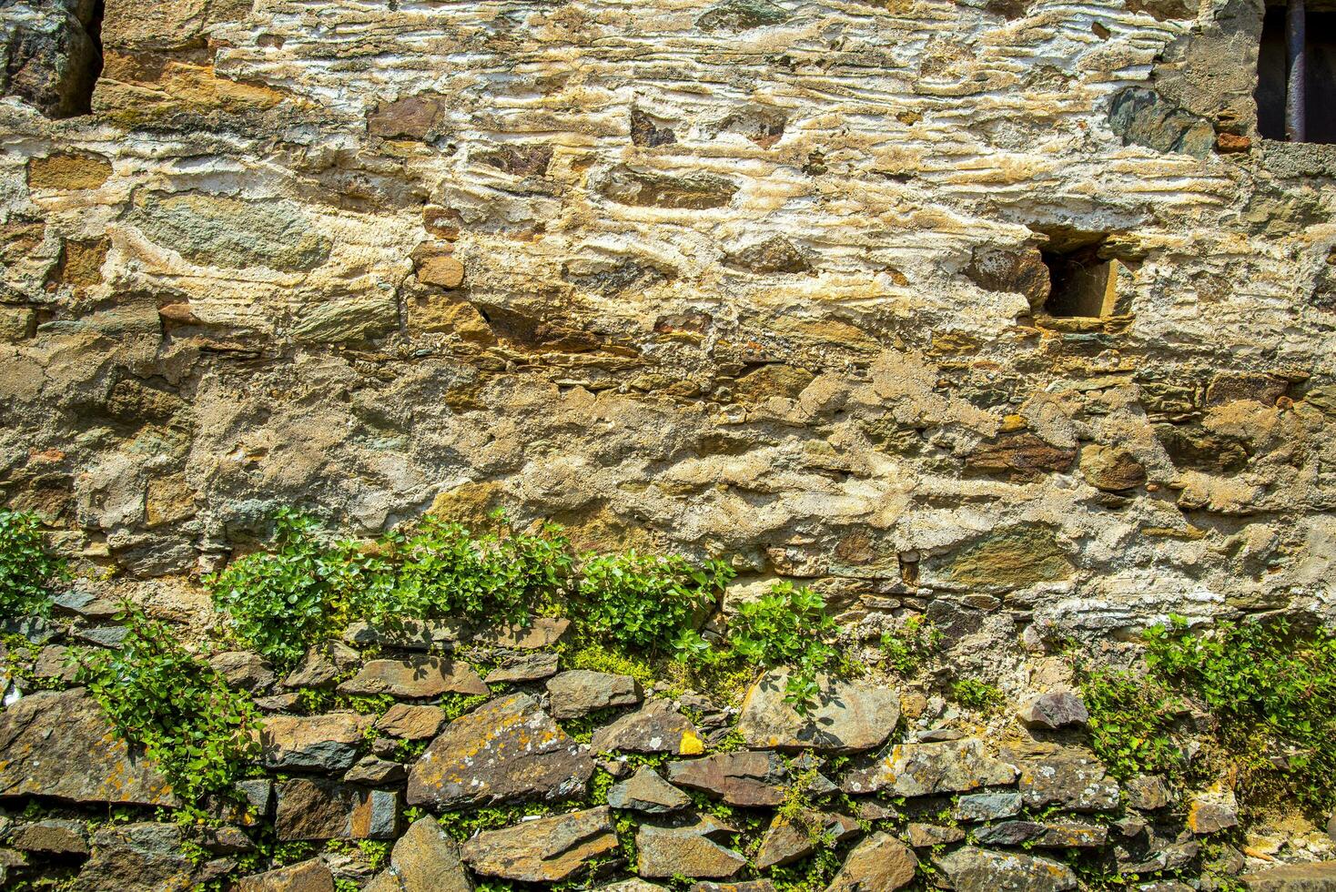 Planting plants in retaining walls. Gardening in a dry stone wall. photo