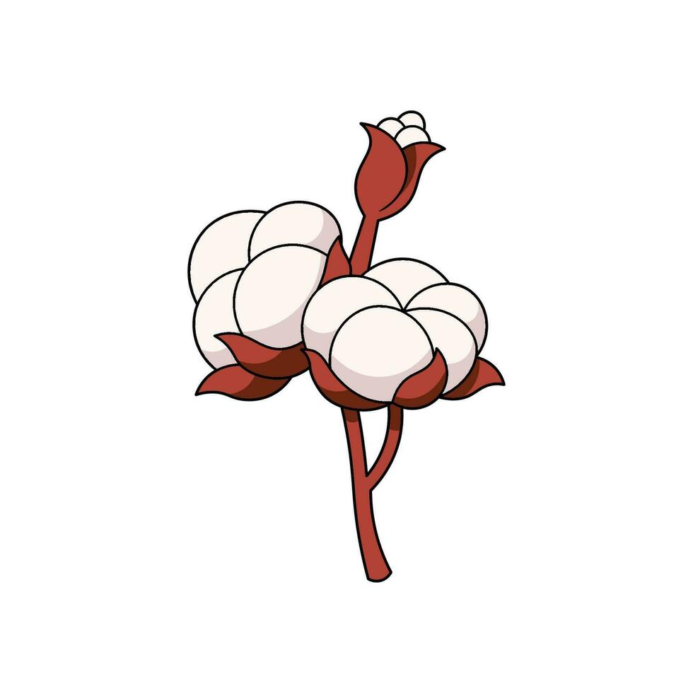 algodón flor vector aislado en blanco antecedentes