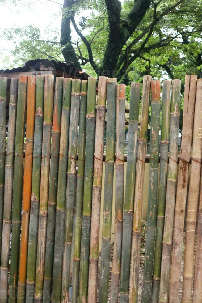 Bamboo fence background vintage color photo