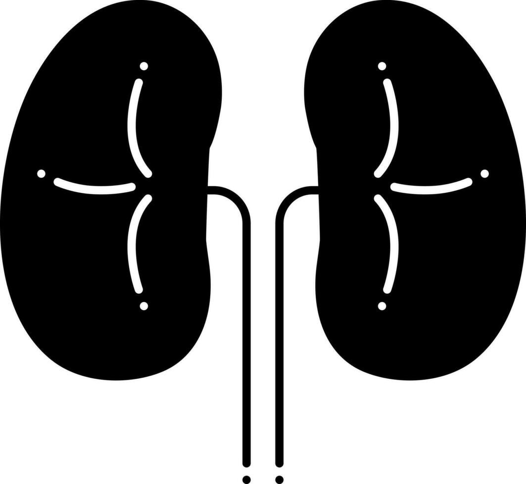 solid icon for kidneys vector