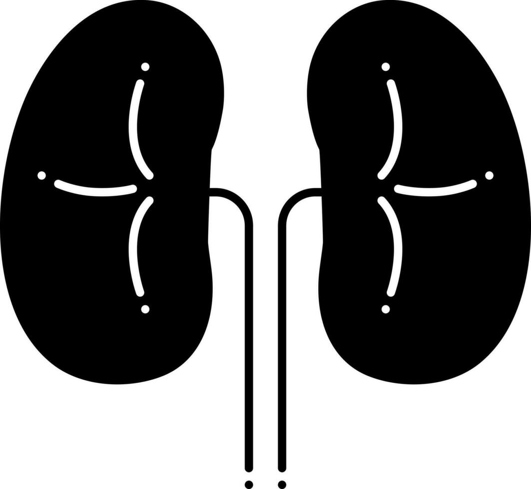 solid icon for kidneys vector