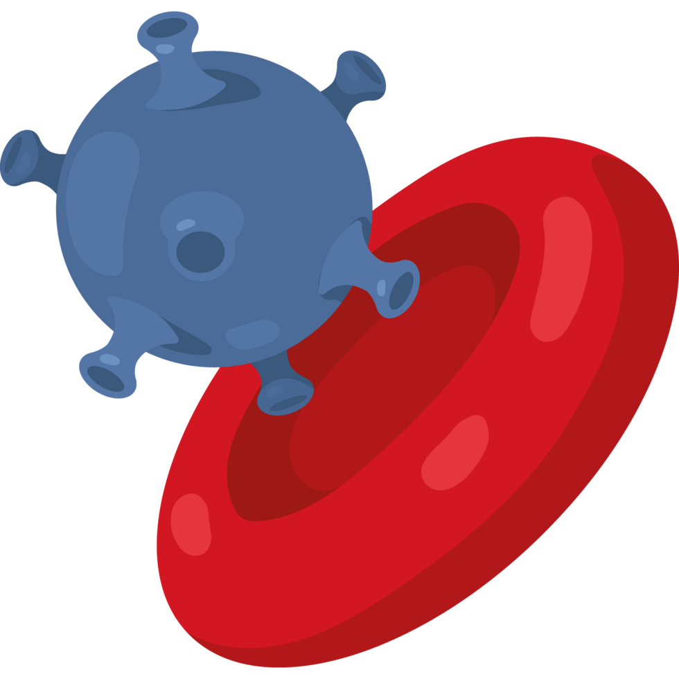 blood cell and virus png