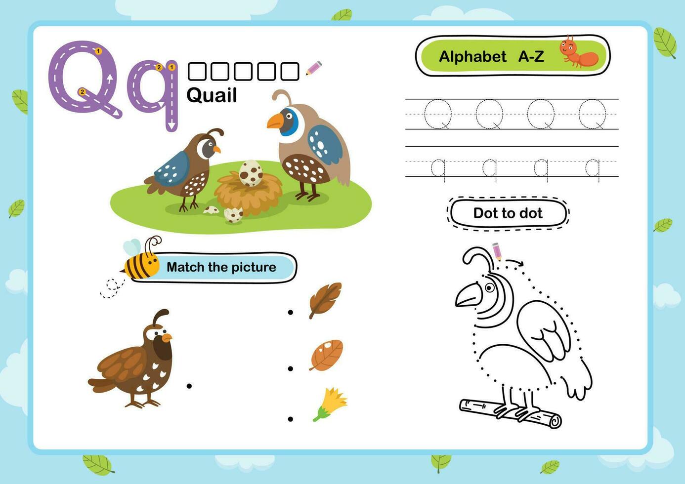 Alphabet Letter Q-Quail exercise with cartoon vocabulary illustration, vector