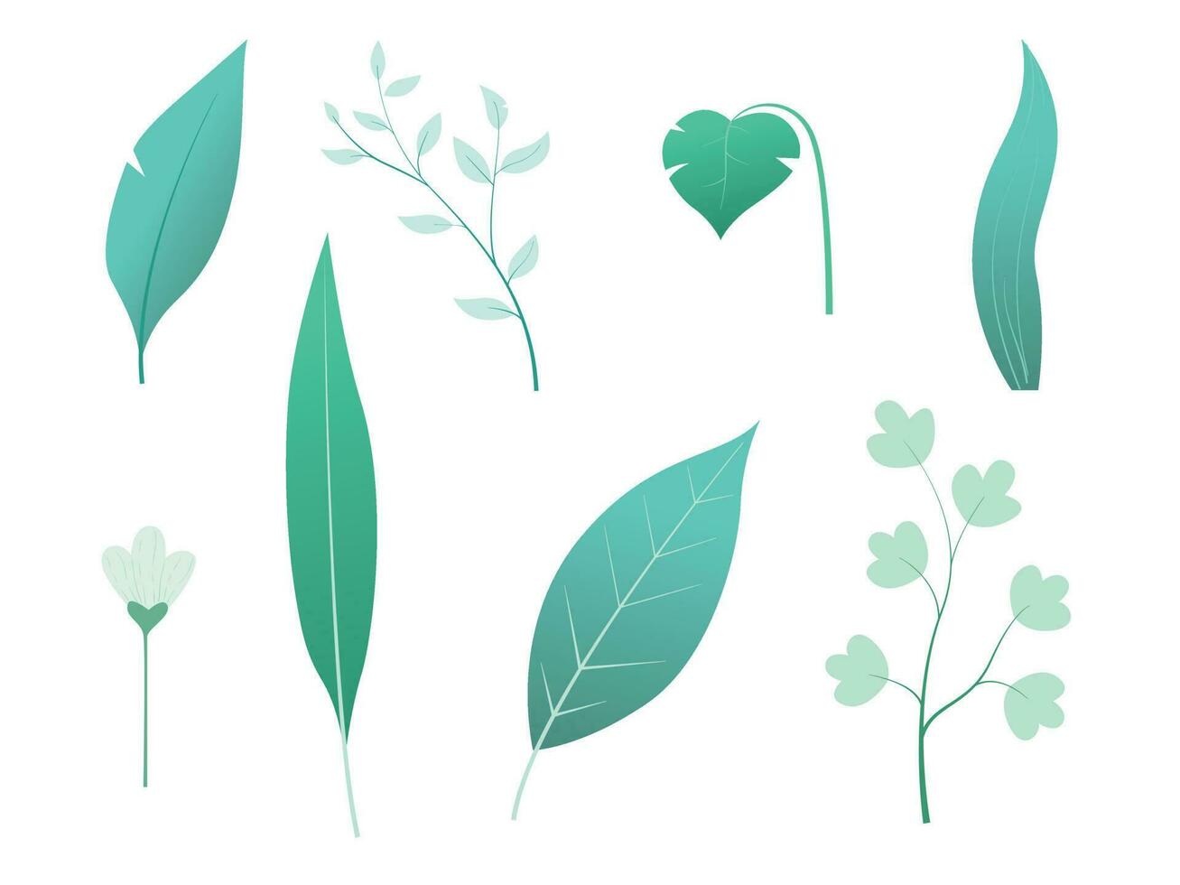 Set of floral elements. Flower and green leaves vector