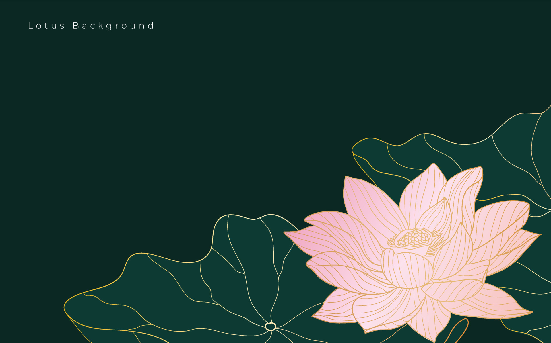 Golden Lotus line art vector in dark green background. Luxury wallpaper
