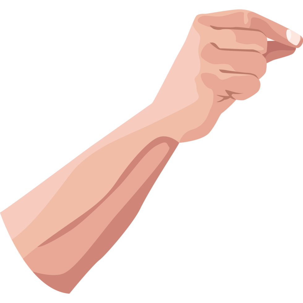 hand human holding up png