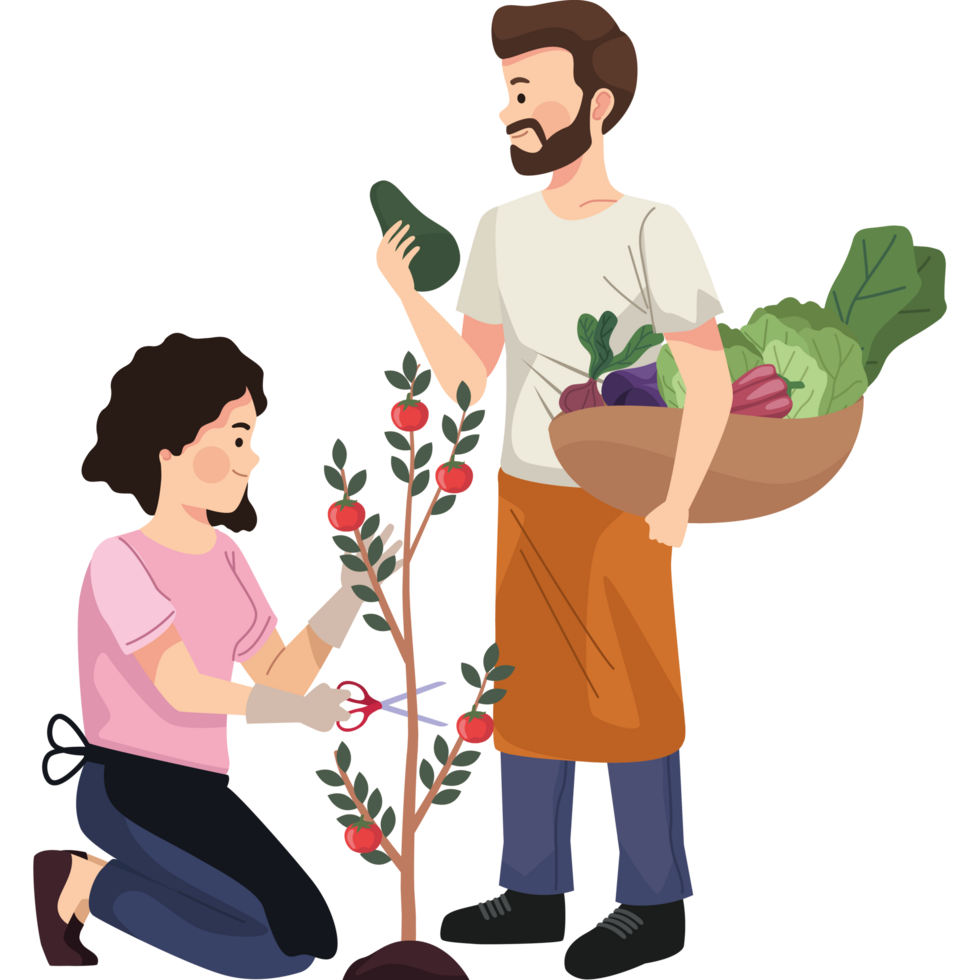 casal de agricultores com legumes png