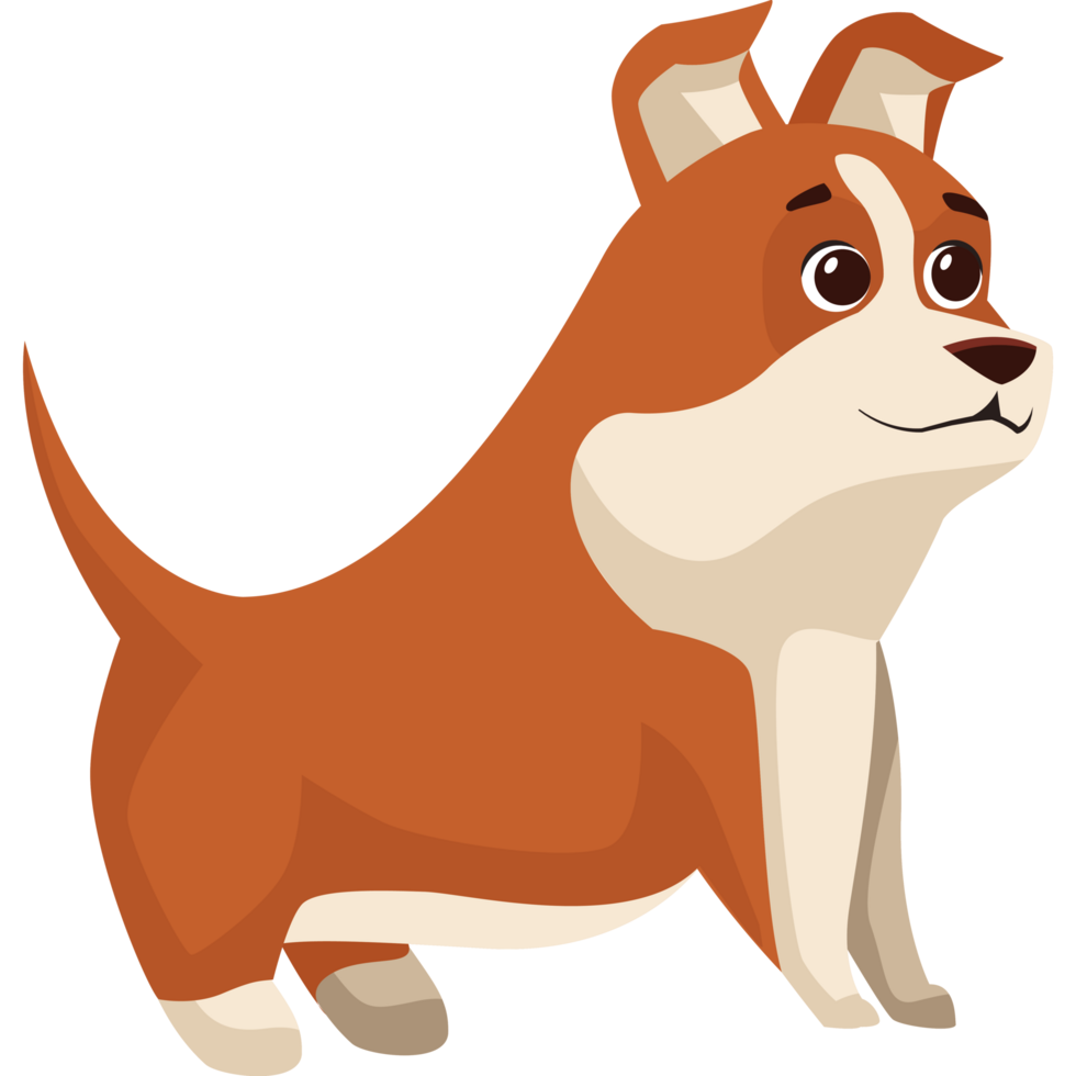cute little dog png