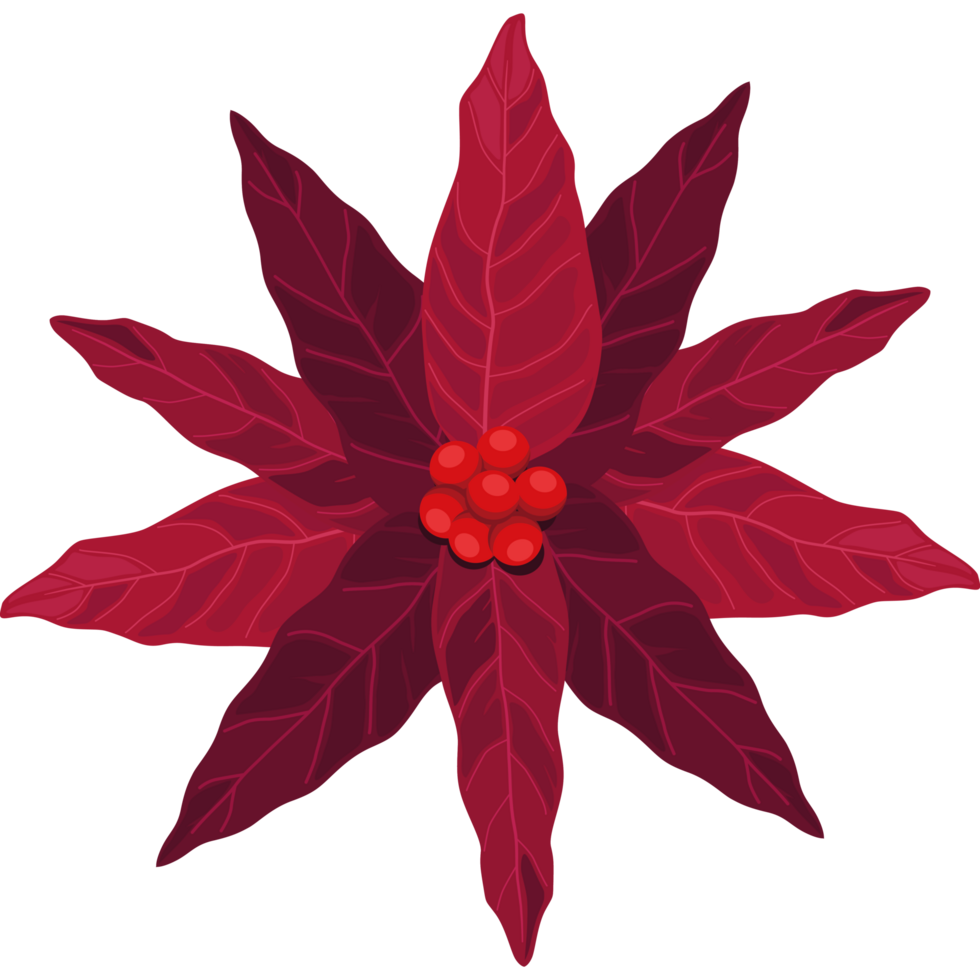 christmas red flower png