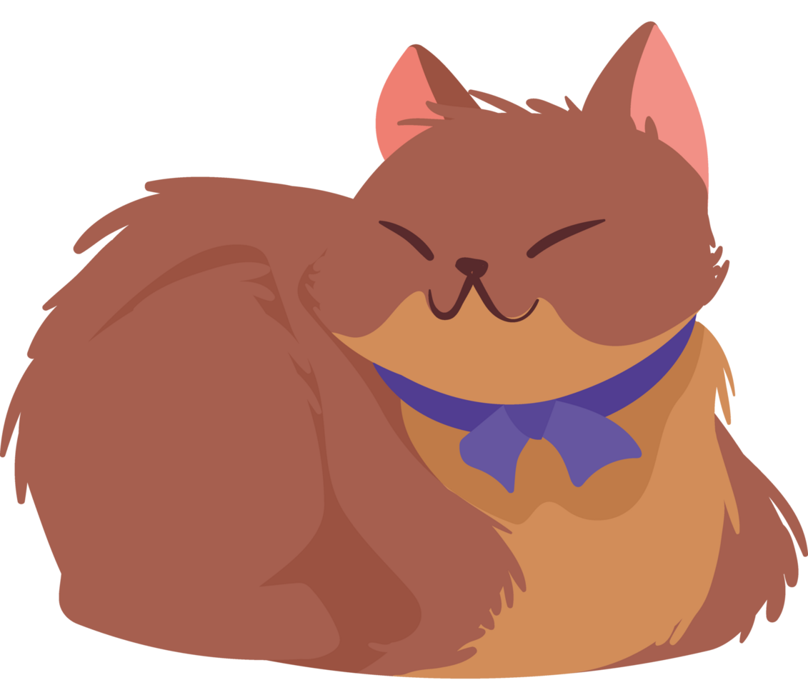 cute cat with bow png