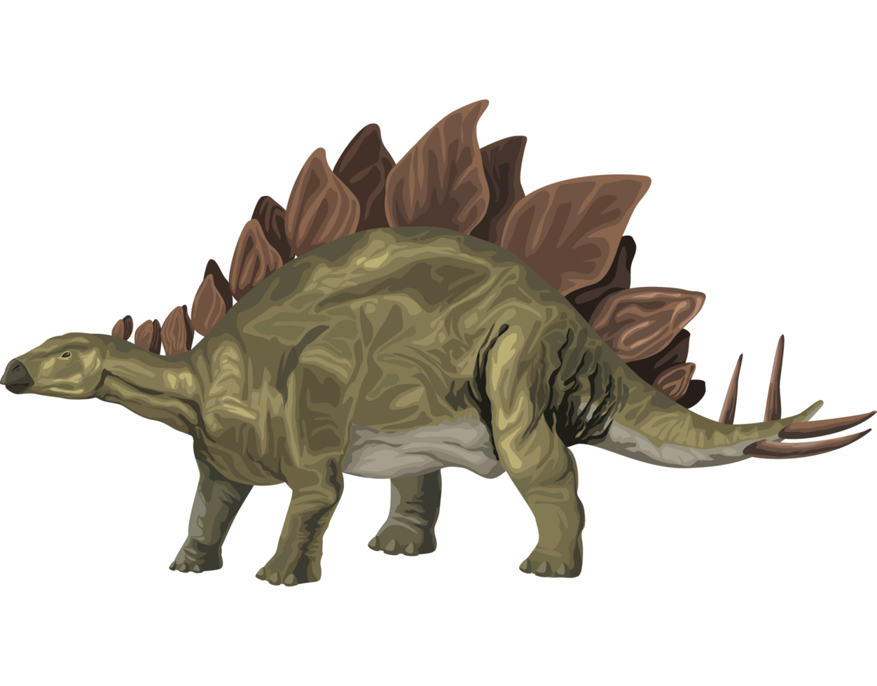 stegosaurus dinosaurie förhistorisk djur- png