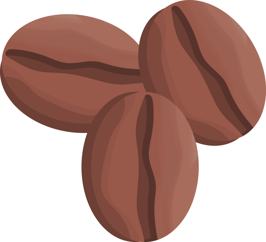 semillas de tostadas de café png
