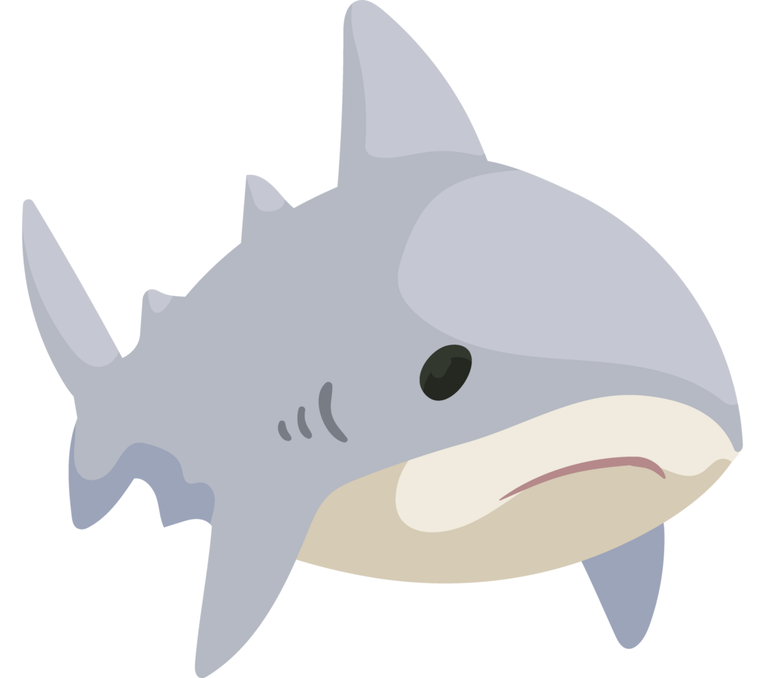 Cute Shark Baby 24089817 PNG
