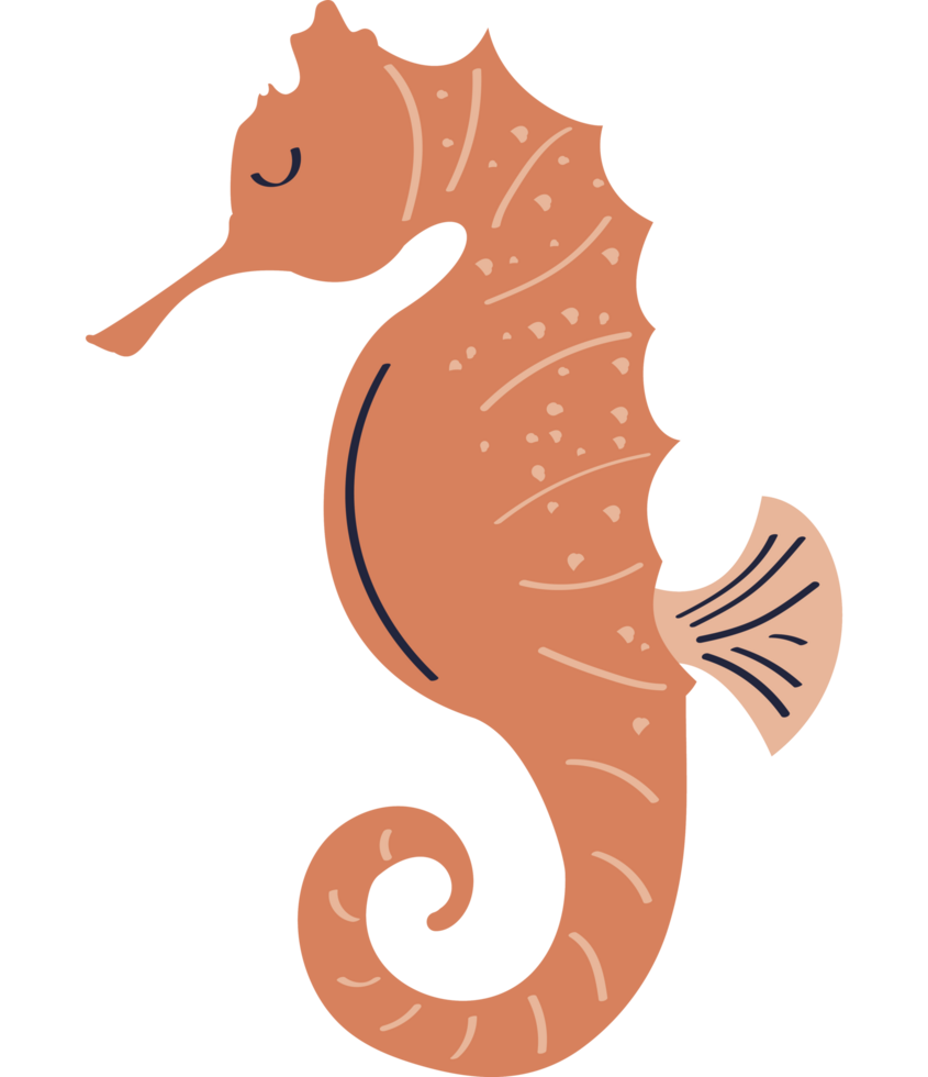 seahorse sealife animal png