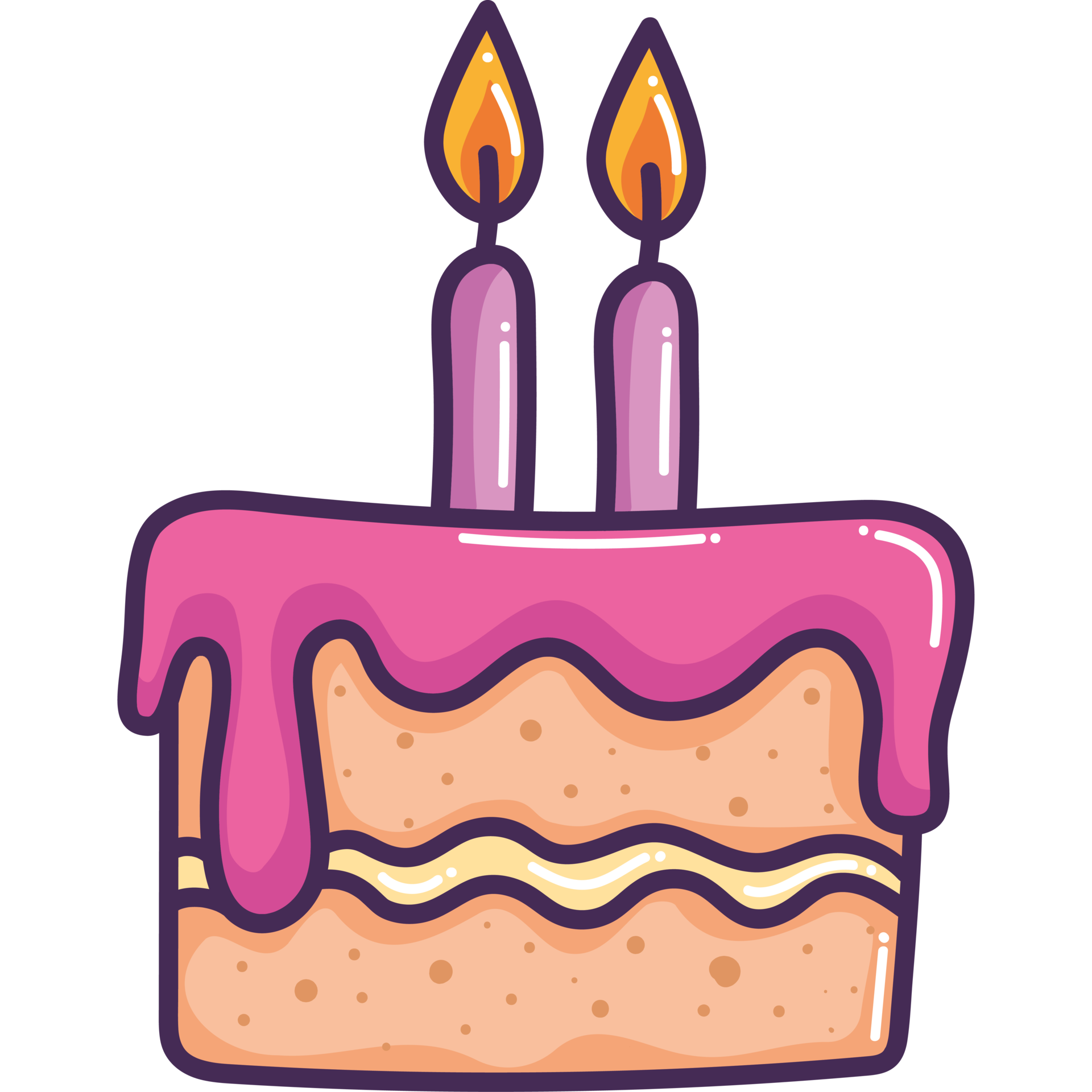 Birthday Cake With Two Candles at Rita Skelley blog