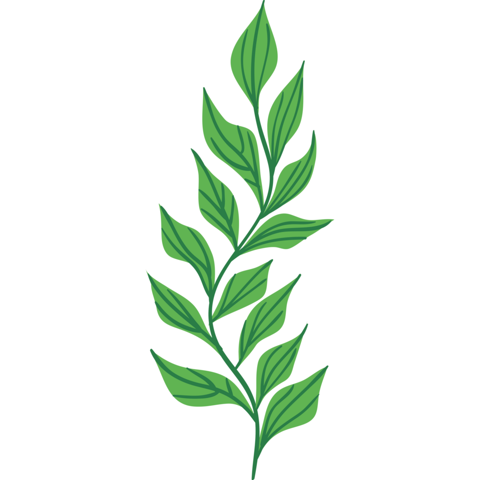 green seaweed with leafs png