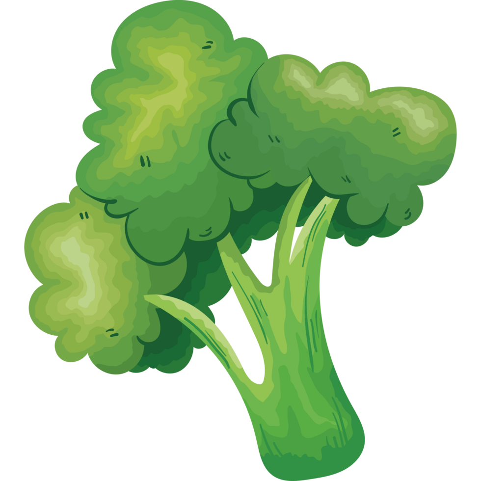 verdure fresche di broccoli png