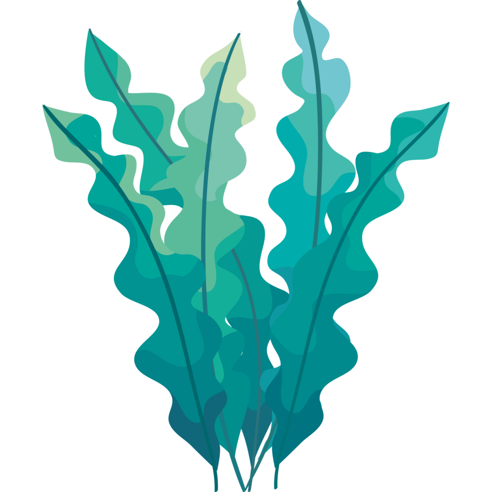 green seaweed plant png