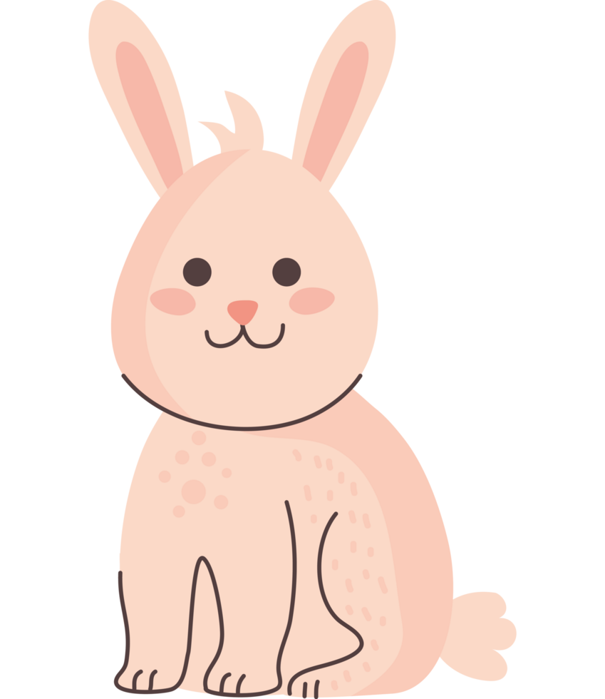 cute rabbit animal 24090400 PNG