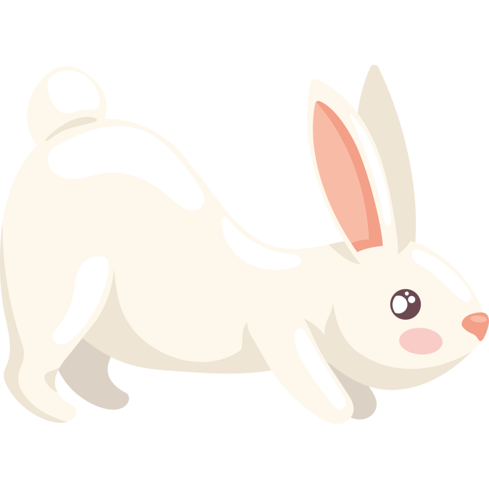 cute rabbit animal 24090415 PNG
