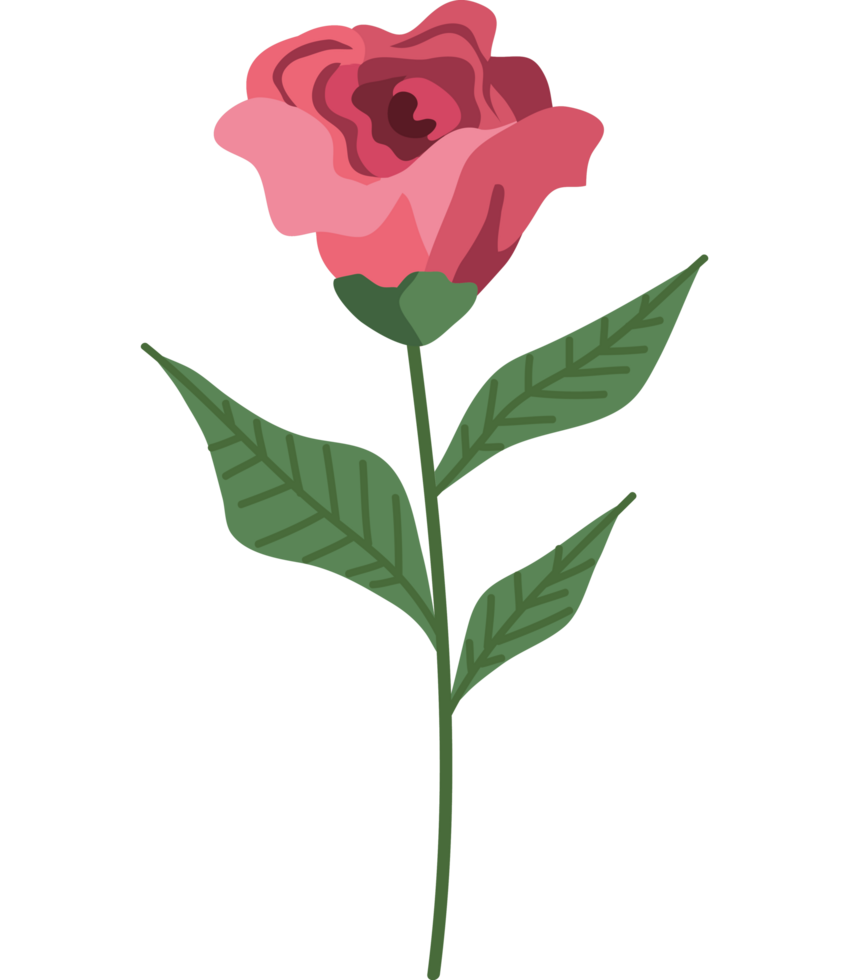 röd ros blomsterträdgård png