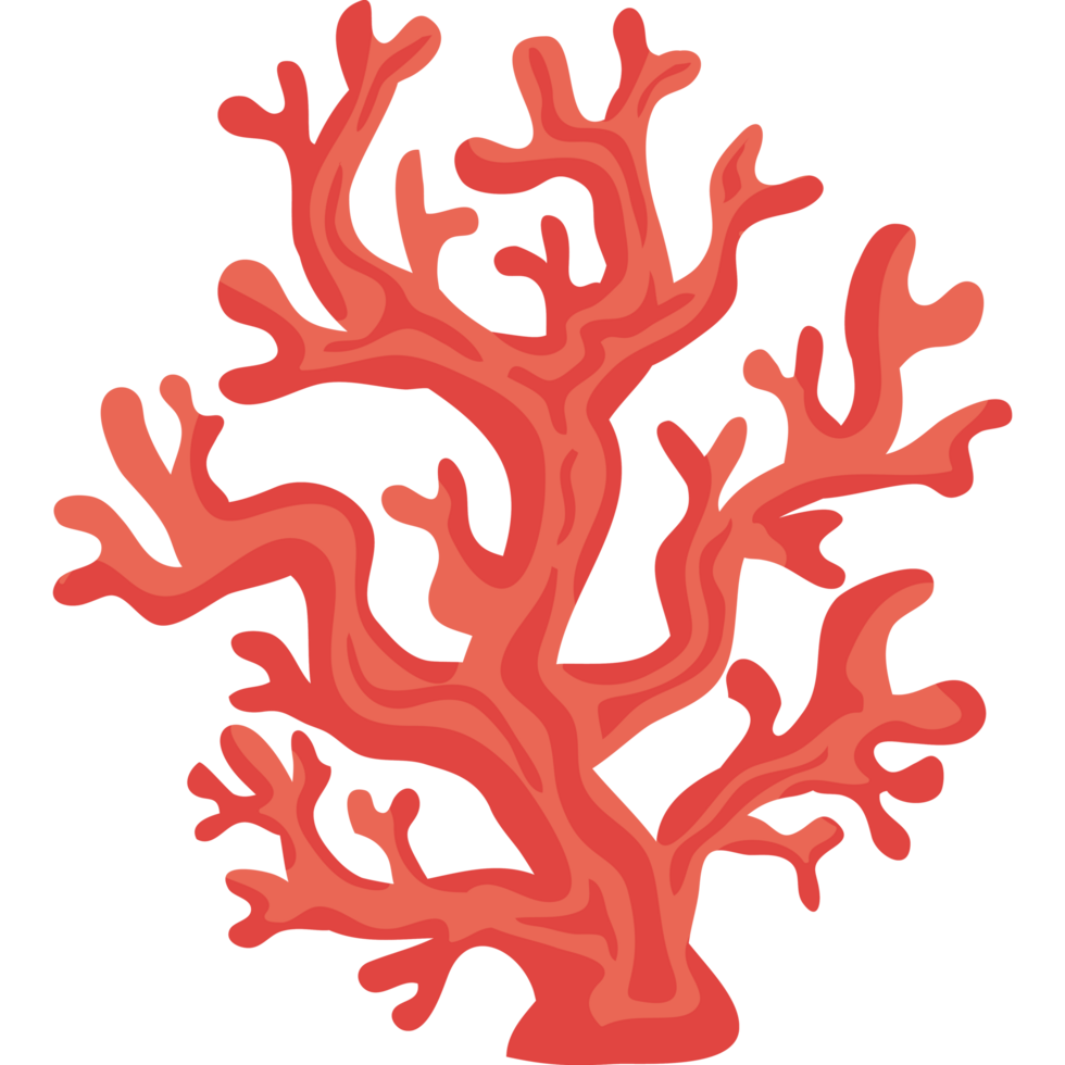 red coral reef sealife png