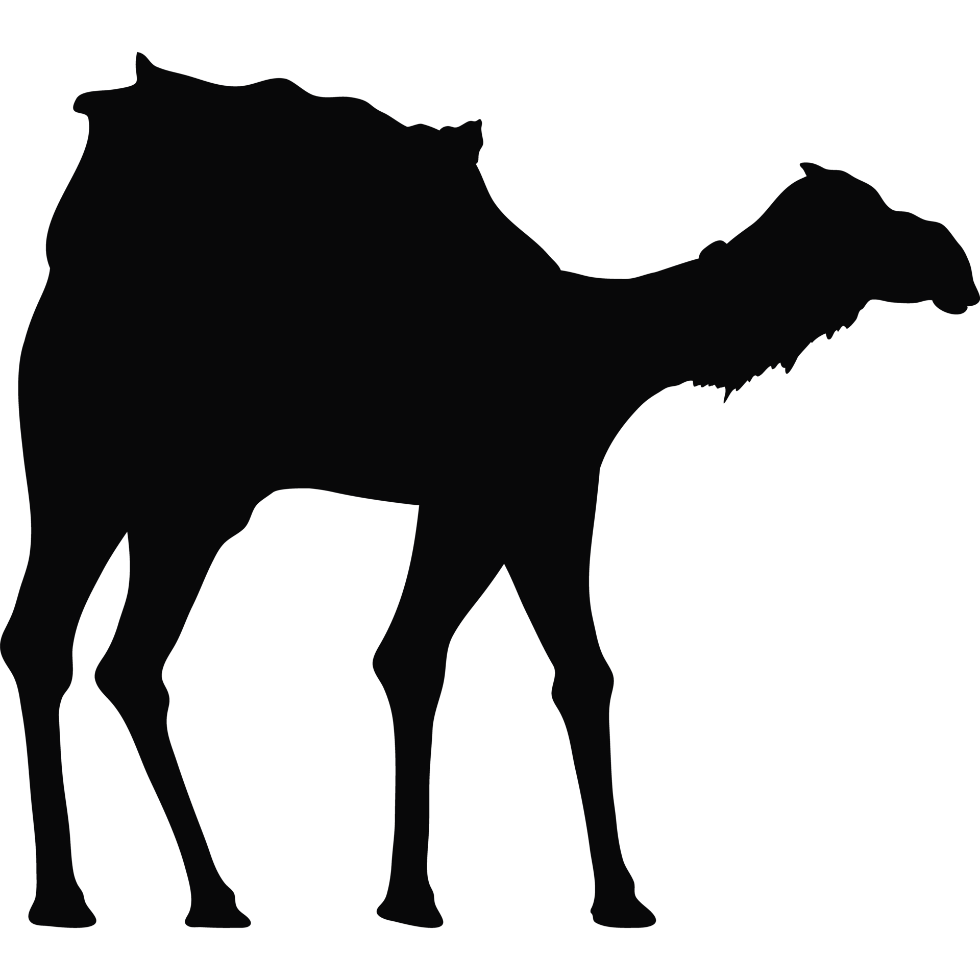 camel animal black silhouette 24090555 PNG