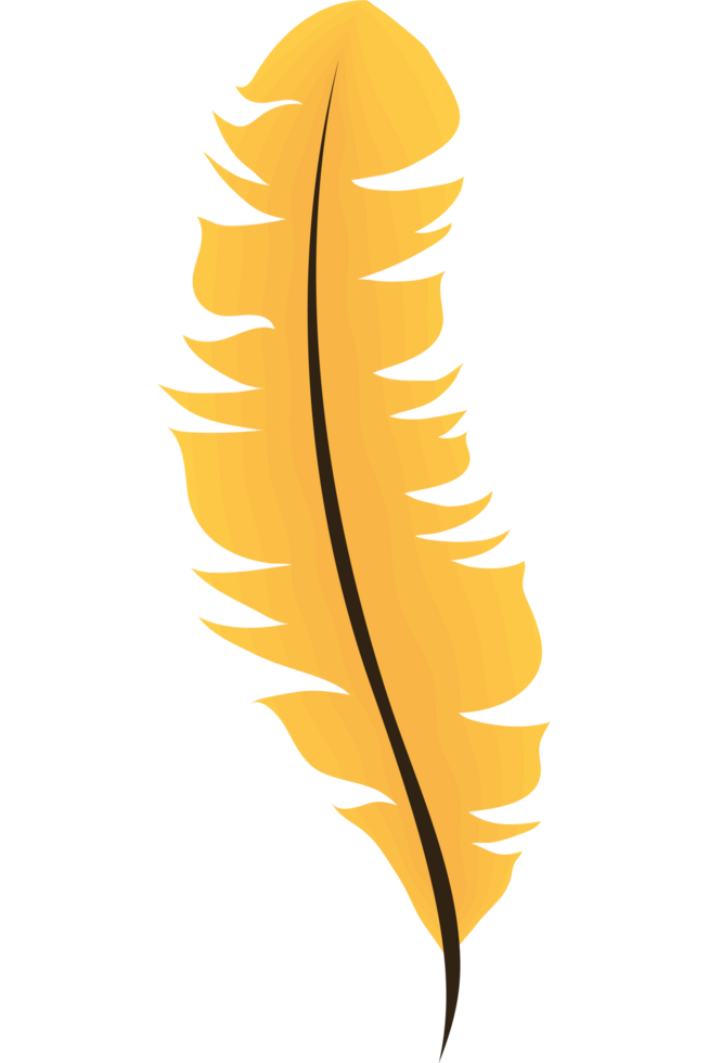 yellow feather bird png