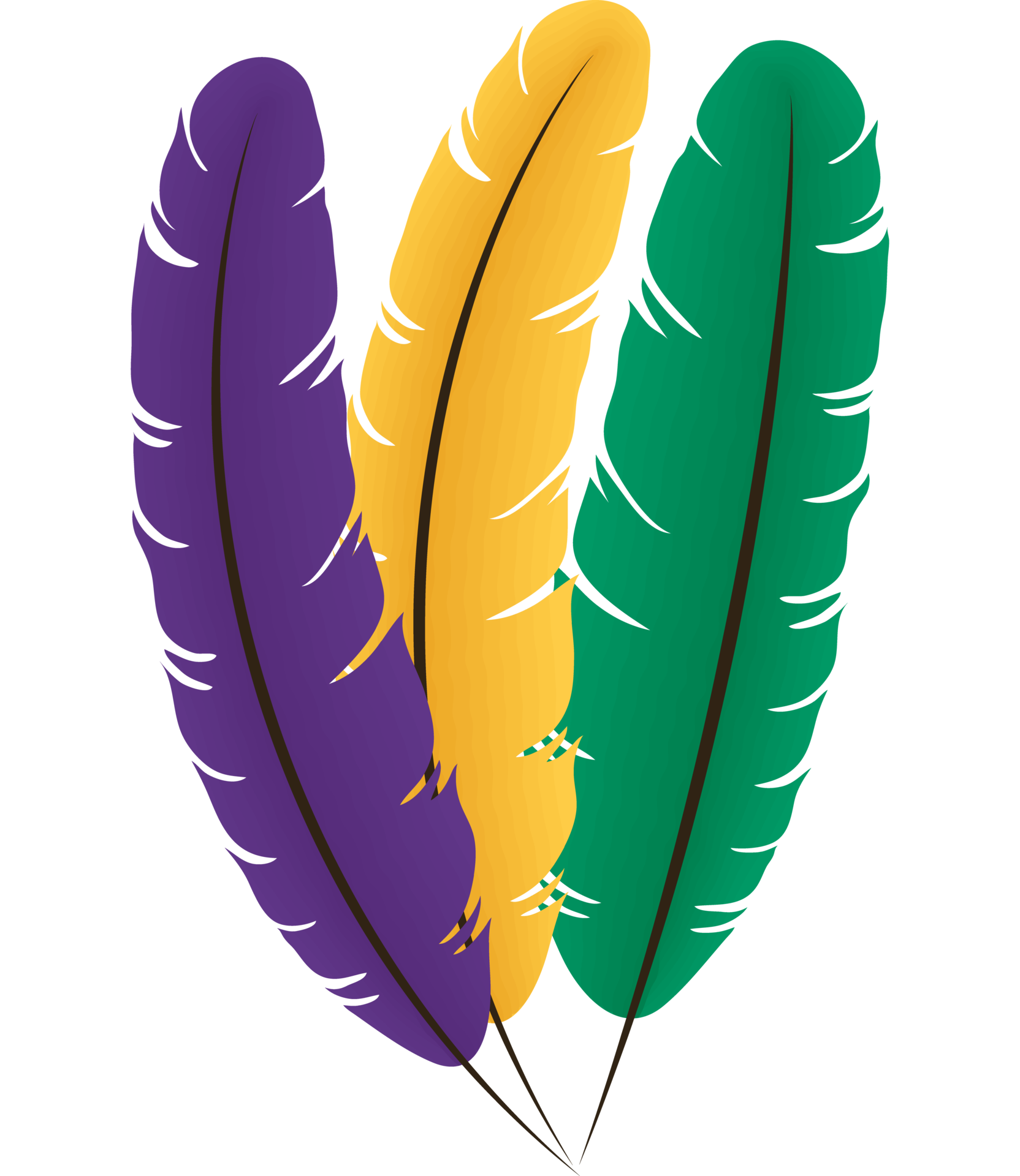 mardi gras feathers 24090625 PNG