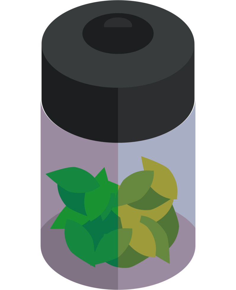 ecology leafs in pot png