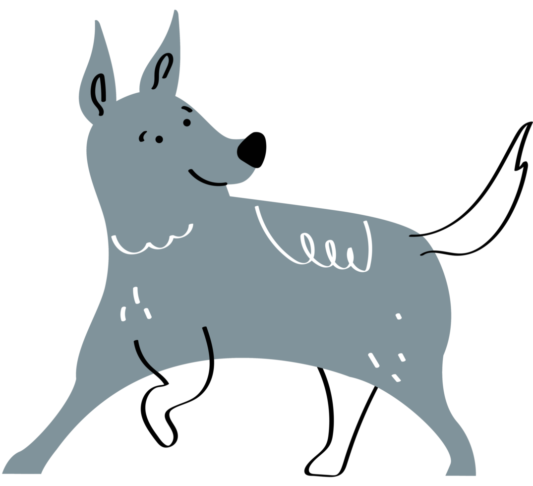 gray dog walking png