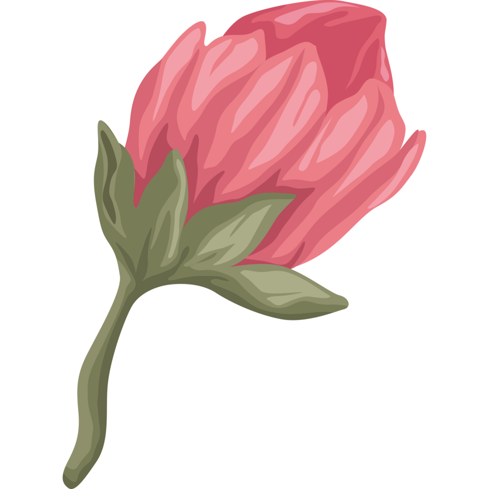 röd ros blomsterträdgård png