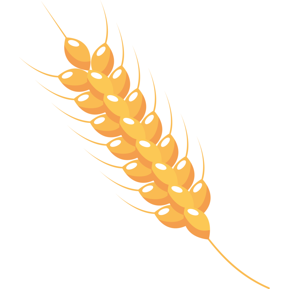 golden barley spike png