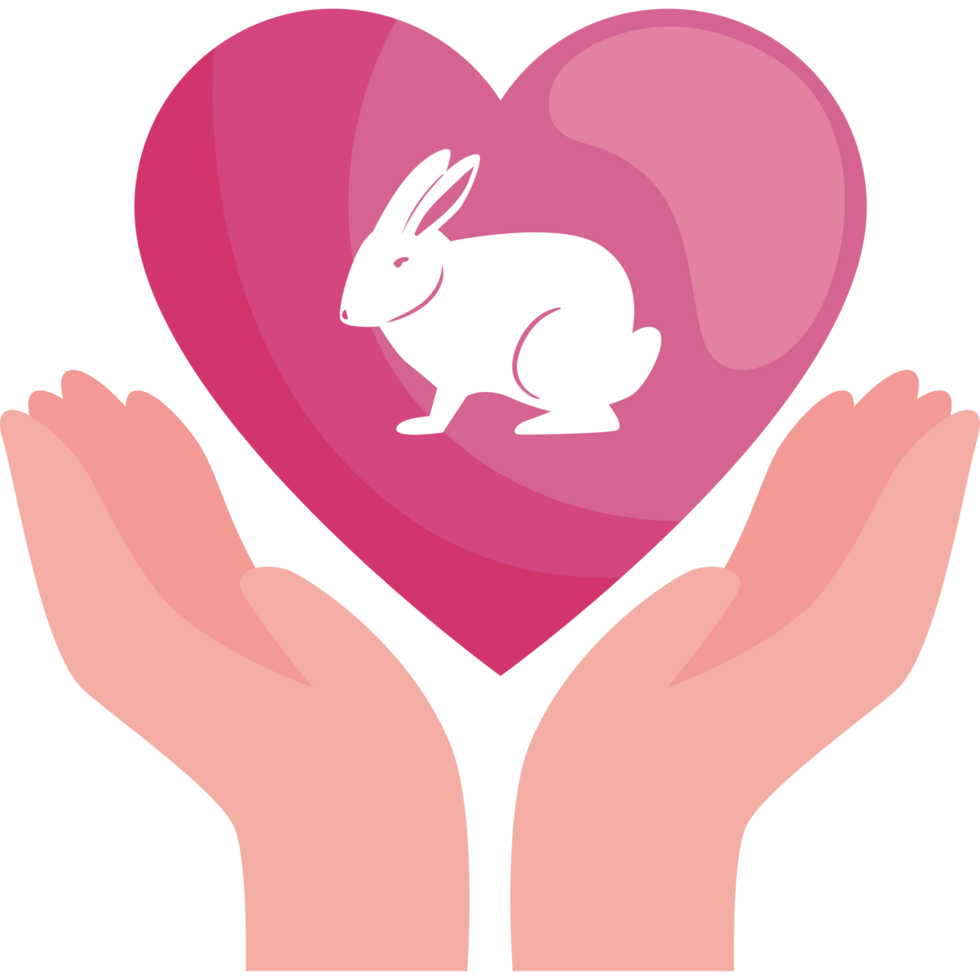 coeur avec lapin png