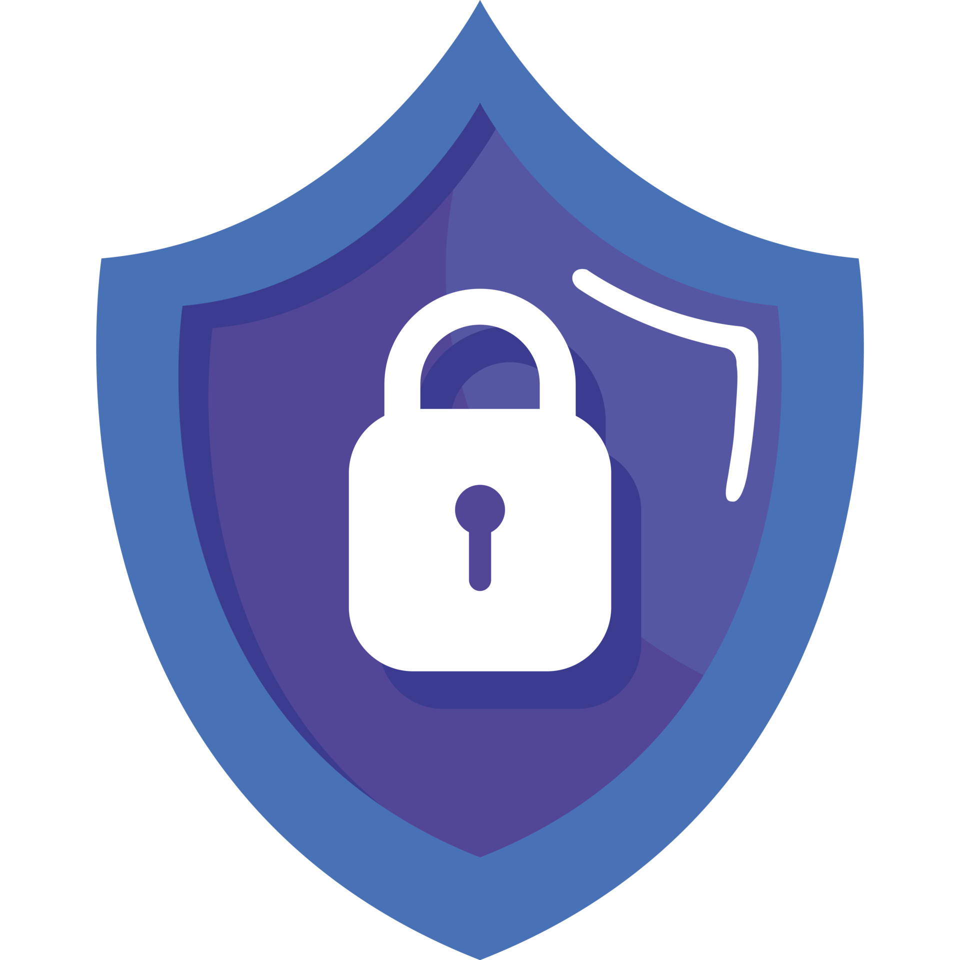 secure padlock in shield 24091665 PNG