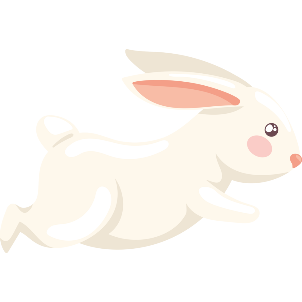 cute rabbit running animal png