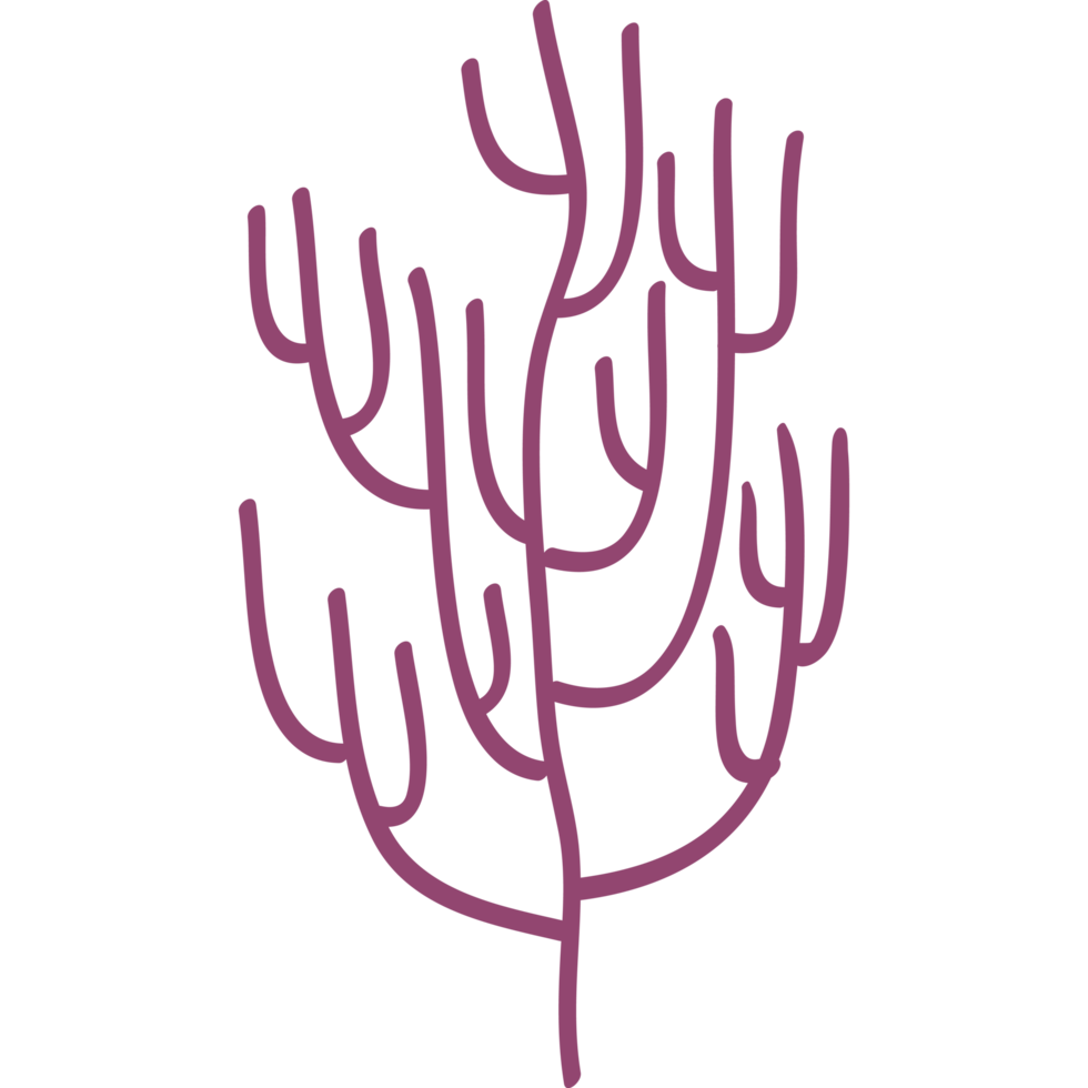 purple seaweed plant png