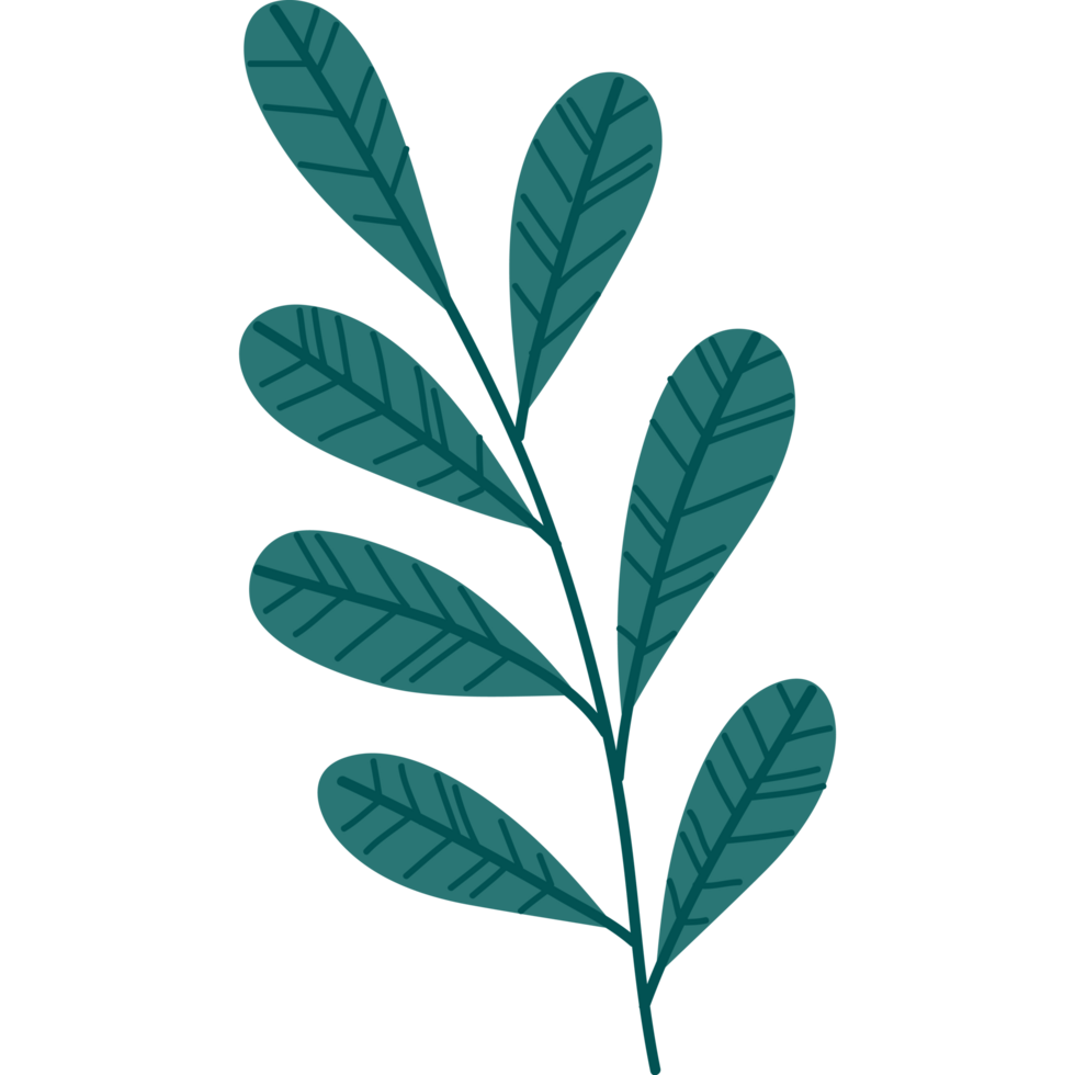 branch with leafs png