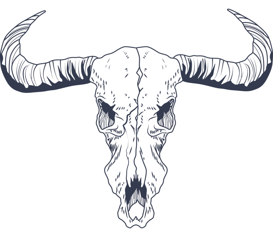 Toro cranio boho stile png