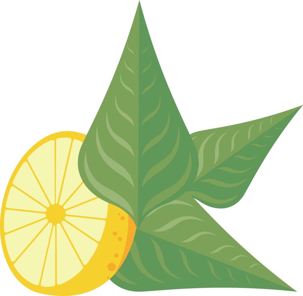lemon fruit and leafs png