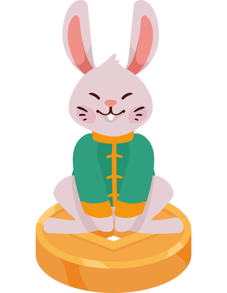 asian rabbit in coin png