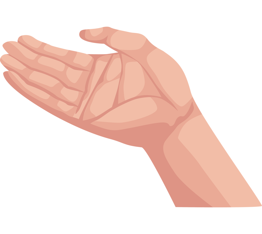hand human receiving posture png